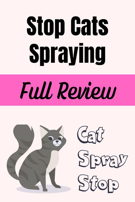 Stop Cats Spraying Training A Kitten, Cat Behavior Problems, Cat Problems, Male Cat, Female Cat, Powerful Scriptures, Cat Spray, Bad Cats, What To Use