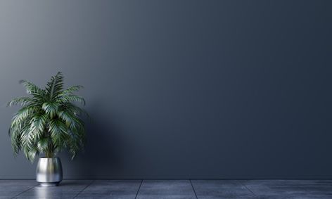 Dark background empty room with plants o... | Premium Photo #Freepik #photo Dark Zoom Backgrounds, Office Background Wallpaper, Office Wall Background, Virtual Background Zoom Room, Office Room Background, Room Wall Background, Home Decor Craft Ideas, Modern White Living Room, House Background