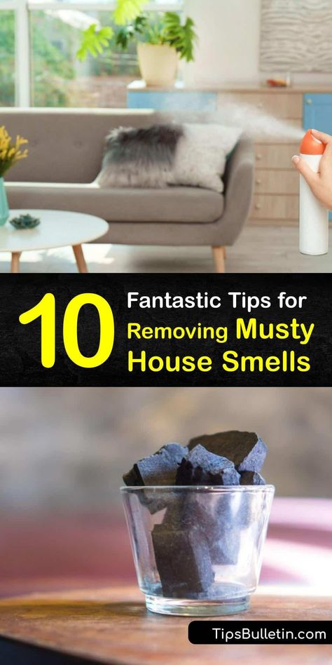 Mold growth and mold spores lead to musty odors and reduce indoor air quality. Find out if your air conditioning is causing your mildew odor and learn easy tricks to get rid of the old house smell with home hacks. #house #smells #musty How To Get Mold Smell Out Of House, House Smell Good Natural, Get Mildew Smell Out Of Clothes, Clean Smelling House Hacks, House Smells Musty How To Get Rid, How To Get Rid Of Odors In House, Diy Odor Eliminator House Smells, Room Odor Eliminator Diy, Stinky House How To Get Rid