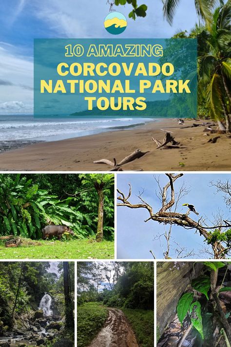 A Corcovado Costa Rica tour is your only option to visit the National Park as a visit without a guide is ILLEGAL. We have complied a list of the best Corcovado Tours. Puerto Jimenez Costa Rica, Costa Rica Backpacking, Corcovado National Park, North America Travel, America Travel, Central America, Belize, Costa Rica, The National