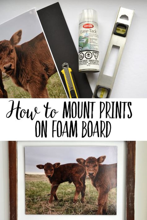 HOW TO MOUNT PHOTOS ON FOAM BOARD | This do it yourself project is a very budget friendly solution for large art. Learn how to mount large photos or digital prints onto foam core board using just a few simple steps. And learn an important lesson from my mistake! #crafts #art #homedecor Foam Board Diy, Foam Board Projects, Foam Board Crafts, My Mistake, Core Board, Foam Boards, Arts And Crafts House, Do It Yourself Projects, Large Photos