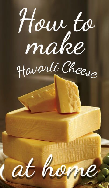 Cheese Making Recipes Homemade, Homemade Cheese Press, Cheesemaking At Home, Cheese Whisps Recipe, How To Make Cheddar Cheese At Home, How To Make Cheddar Cheese, Diy Cheddar Cheese, How To Make Cheese At Home, Barata Cheese