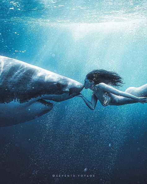 ''To the most misunderstood species on this planet, I promise I will protect you" Mother Nature - First of all, DO NOT ATTEMPT TO KISS A SHARK! This is art and it isn't real. Anyway, I finally made this piece. I've had the idea for over three years. Mother Nature kissing the nose of a giant Great White Shark. Anyone who knows me in person, and probably a lot of you on here know I absolutely adore sharks. I'm obsessed. I even have one tattooed on my arm. It's unfortunate what we as humans do to t I Will Protect You, I Promise, Mother Nature, Swimming, Water, On Instagram, Instagram, Art, Nature