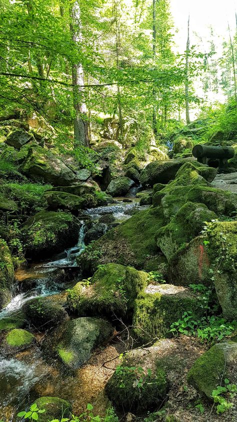 How to Spend a Few Days in Germany's Enchanted Black Forest Lichtenstein Castle, Hohenzollern Castle, Real Life Fairies, Black Forest Germany, Cheap Ideas, Winter Family, Thermal Bath, Fantasy Forest, Forest Landscape