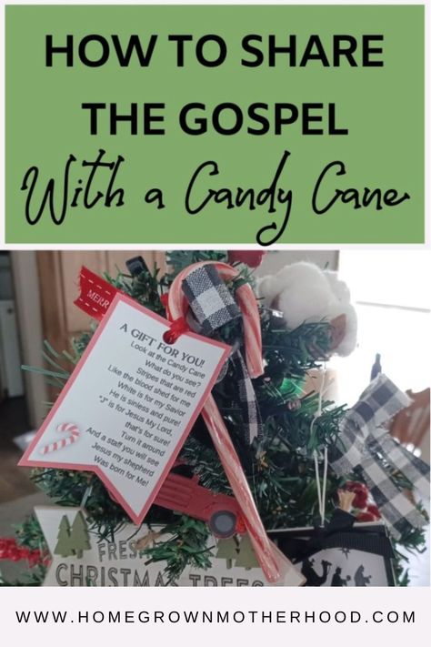 I think it's no coincidence that the candy cane's most popular time of year is Christmas. But, did you know you can share the Gospel with a candy cane? Learn how! | www.homegrownmotherhood.com Meaning Of Candy Cane, Candy Cane Story, Candy Cane Poem, Candy Cane Legend, Christmas Sunday School, Homeschool Holidays, Faith Crafts, Candy Cane Crafts, Art For Kids Hub