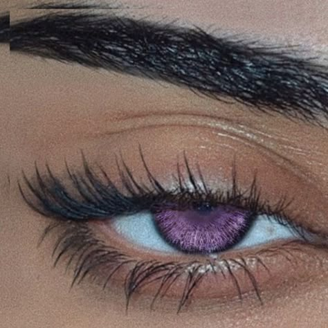 Purple Eye Color Aesthetic, Lavender Eyes Aesthetic, Purple Siren Eyes, Purple Eye Aesthetic, Violet Eyes Natural, Violet Eyes Aesthetic, Purple Glowing Eyes, Purple Eye Contacts, Purple Eyes Aesthetic