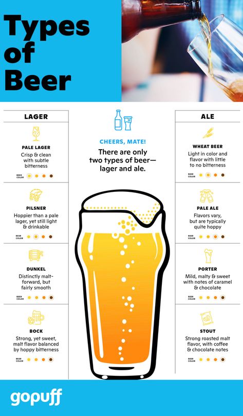 Beer Barrel Table, Shiner Beer, Beer Infographic, Beer Benefits, Lip Health, Bartending 101, Culinary Basics, Beer Ideas, Bartender Drinks Recipes