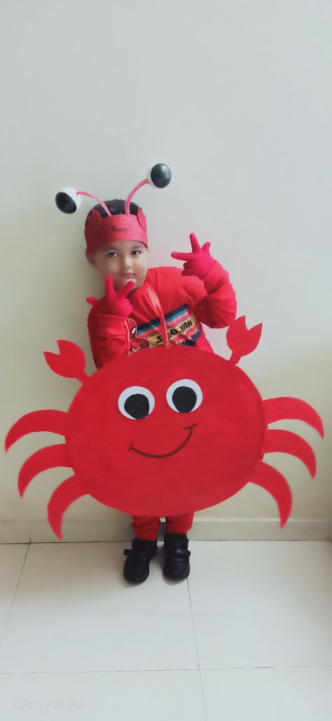 Crab Fancy Dress, Diy Crab Costume, Crab Costume Diy, Red Day Activity, Animal Costumes Diy, Animals Costume, Crab Costume, Animal Fancy Dress, Dolphin Costume