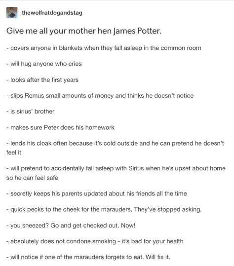 James Potter - the marauders James Potter Imagines, James Potter Quotes, James Potter Headcannons, James Potter Headcanons, James Potter Kinnie, James Potter Text Posts, Marauders Headcanons Hilarious, Dating James Potter Would Include, Ilvermorny Headcanons