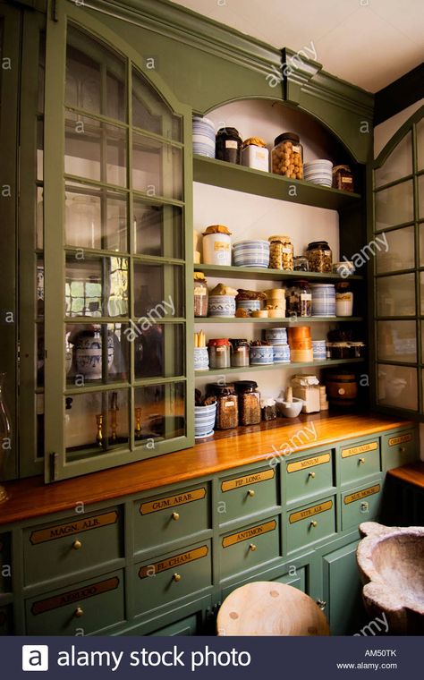 Download this stock image: Pasteur & Galt Apothecary Shop, Colonial Williamsburg - AM50TK from Alamy's library of millions of high resolution stock photos, illustrations and vectors. Apothecary Design, Apothecary Shop, Apothecary Decor, Green Cabinets, Renovation Design, Colonial Williamsburg, Pantry Design, Kitchen Pantry, Dream Kitchen