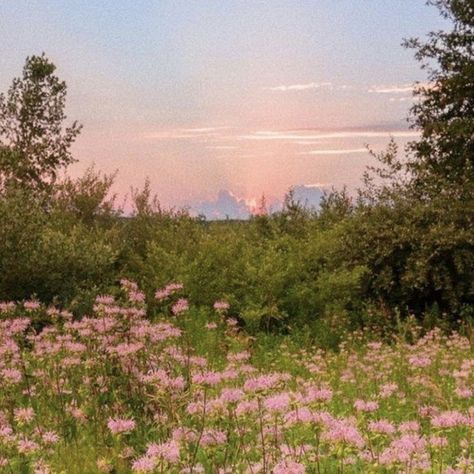 Heidi’s Cottage Girly Girl Wallpaper, Lockscreen Wallpaper Ideas, Pink Aesthetic Wallpapers, Wallpaper Iphone Lockscreen, Pink Iphone Wallpaper, Artist Hue, Iphone Lockscreen Wallpaper, Iphone Lockscreen, Pink Aesthetic