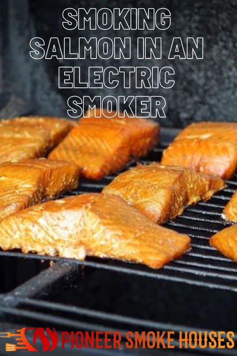 Salmon Smoker, Smoker Cooking Recipes, Smoked Fish Recipe, Smoker Grill Recipes, Smoker Recipes Electric, Fish In The Ocean, Smoked Salmon Recipes, Smoker Cooking, Salmon Fillet