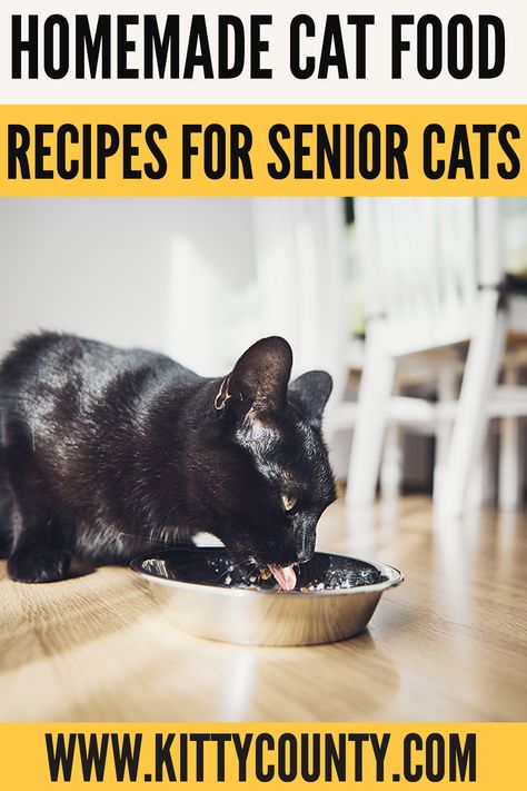 Home Cooked Cat Food, Best Food For Cats, Cat Food Recipe, Cat Food Recipes, Senior Cats, Diy Cat Food, Senior Cat Food, Healthy Cat Food, Raw Cat Food Recipes