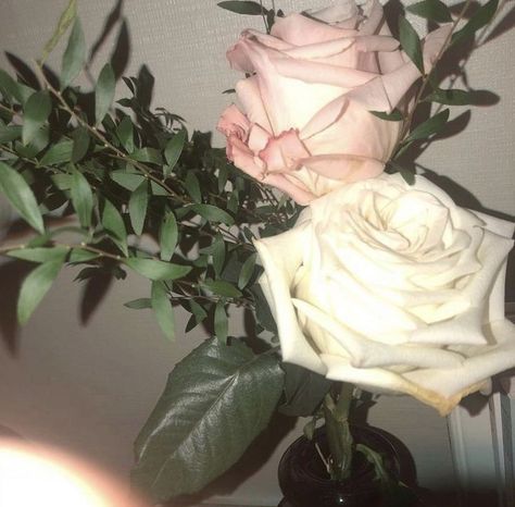 Rosé Icons Aesthetic, Iphone Wallpaper Bts, Aesthetic Roses, Dark Green Aesthetic, Flower Icons, Nothing But Flowers, Looking Out The Window, Rose Icon, Fantasy Aesthetic