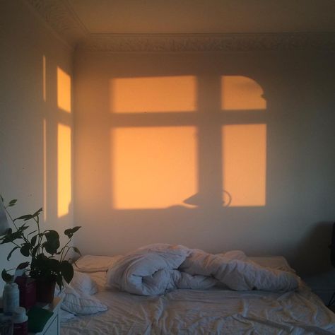 1,800 Likes, 12 Comments - creamy like a library (@athenawyller) on Instagram: “current bedroom” Sun Shining, White Sheets, Humble Abode, Cheap Decor, Cheap Home Decor, Dream Room, Golden Hour, Home Decor Accessories, Home Interior