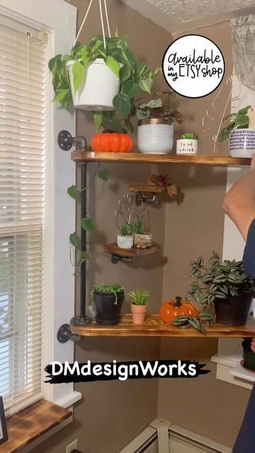 Rotating Plant Shelf Diy, Swivel Shelf, Corner Plant Shelf, Shelves Plant, Window Plant Shelf, Indoor Plant Shelves, Plant Display Ideas, Window Canopy, Corner Plant