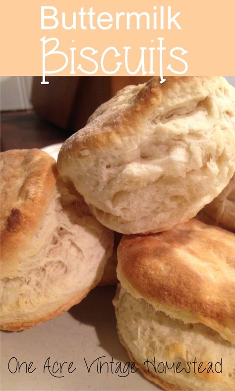 Easy buttermilk biscuits that can be put stored in the freezer for baking later. Mexican Food Tacos, Chocolate Pound Cake Recipe, Flour Tortillas Recipe, Buttermilk Biscuit Recipe, Garlic Cheddar Biscuits, Vintage Homestead, Buttermilk Biscuits Easy, Food Tacos, Tortillas Recipe