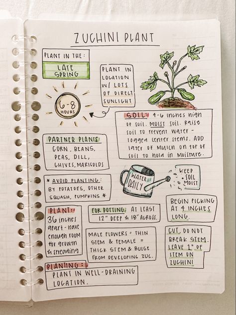 Garden Notebook Ideas, Plant Notes Aesthetic, Bujo Garden Planning, Plant Notebook Ideas, Garden Journal Ideas Inspiration, Gardening Journal Ideas, Plant Journal Ideas, Vegetable Garden Journal, Garden Journal Ideas