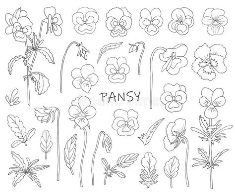 Flowers of pansies. Elements for creating illustrations. Sketch style , #Aff, #Elements, #pansies, #Flowers, #creating, #style #ad Pansy Drawing Pencil, Pansy Flower Tattoo Capricorn, Panseys Flower Drawing, Tiny Pansy Tattoo, Pansy Flower Tattoos, Pansy Line Drawing, Pansy Line Art, Pansy Doodle, Pansy Flower Drawing