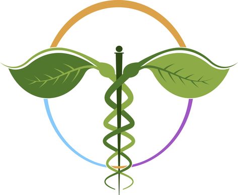 Naturopathic Healing Natural Medicine Logo, Herbal Medicine Logo, Adrenal Exhaustion, Alternative Medicine Logo, Naturopathic Medicine, Naturopathic Doctor, Hormone Replacement, First Doctor, Naturopathy