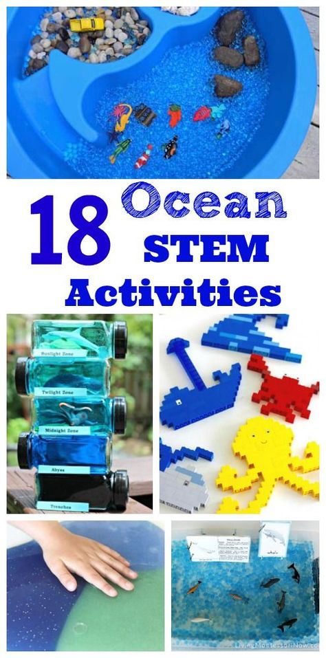 Love these ocean science & math activities for kids!  Great for learning about sharks, whales, ocean zones and more. Whale Activities For Kindergarten, Stem Water Activities, Ocean Stem Activities, Science Math Activities, Ocean Themed Activities, Ocean Science Activities, Ocean Slime, Themed Activities For Kids, Stem Activities Kindergarten