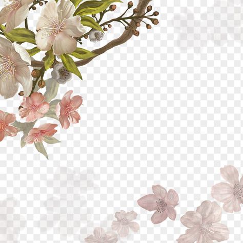 Transparent Aesthetic Png, Cherry Blossom Png, Transparent Aesthetic, Background Overlay, Stickers Transparent, Aesthetic Png, Background Flower, Flower Stickers, Aesthetic Flower