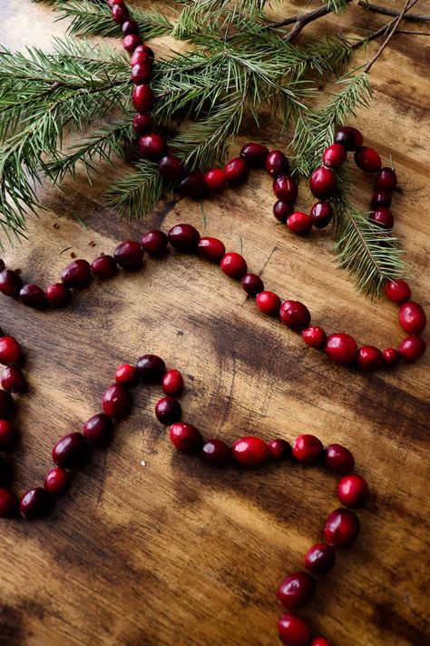 Foraged Christmas Garland, How To String Cranberries For Garland, Decorate With Cranberries, Blood Orange Garland, Cranberry Red Christmas Decor, Victorian Christmas Garland, How To Make Pine Garland, Christmas Balls Garland, Cranberry Garland Christmas Tree