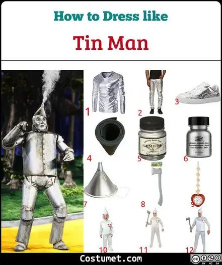 Diy Tin Man Costume, Tin Man Halloween Costume, Metallic Silver Pants, Tin Man Costume, The Wizard Of Oz Costumes, Diy Costumes Men, Tin Man Costumes, Wizard Of Oz Costume, Nursing Home Crafts