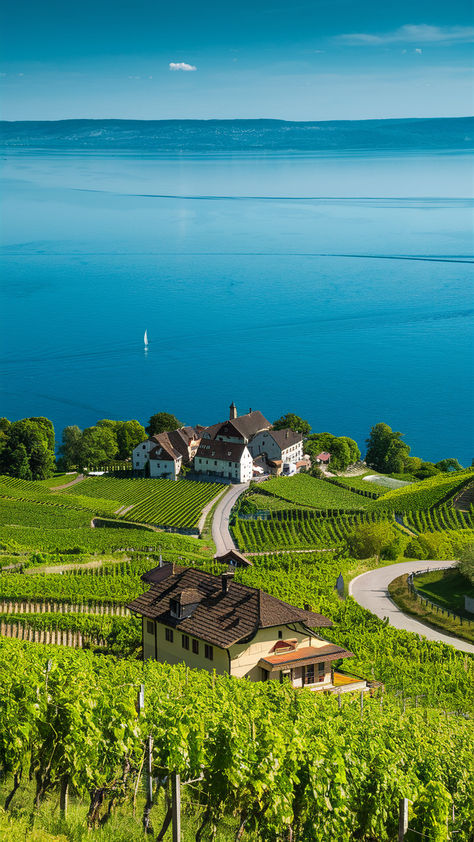 Beautiful Switzerland, Life In Switzerland, Switzerland Landscape, Beauty Of Switzerland, Zurich Switzerland Summer, Beautiful Places Switzerland, Switzerland Aesthetic, Switzerland Beautiful Places Nature, Best Views In Switzerland