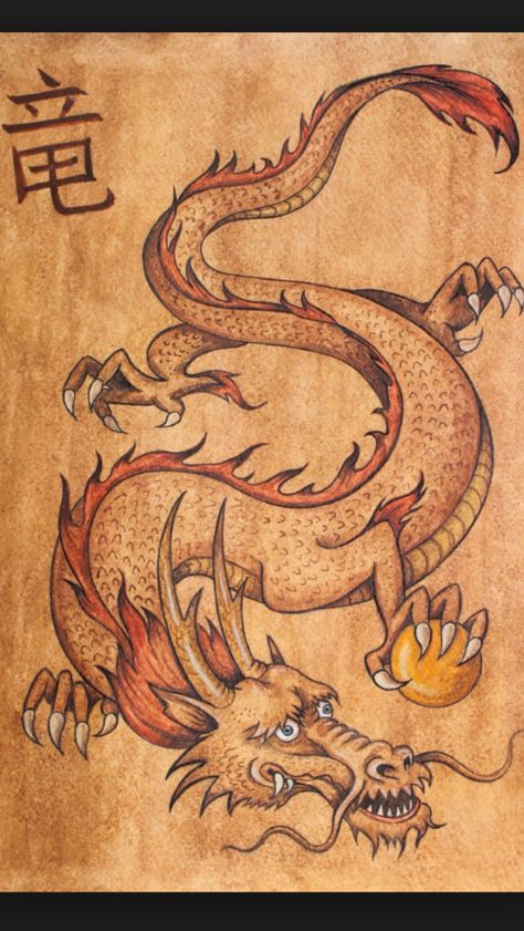 Tatsu Dragon, Yin Yang Koi, Chinese Dragon Art, Elemental Dragons, Dragon Images, Japanese Dragon, Chinese Dragon, Dragon Drawing, Chinese Culture