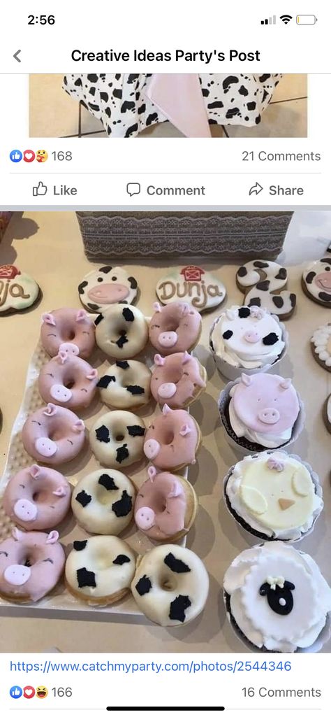 Cow Baby Shower, Cow Baby Showers, Farm Birthday Party, Farm Photo, Farm Birthday, Baby Cows, Catch My Party, Having A Baby, Cow Print