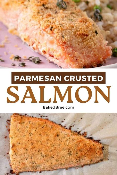 Parmesan Crusted Salmon Recipe | Baked Bree Italian Salmon Recipes Baked, Oven Baked Salmon Recipe, Frozen Salmon Recipes Baked, Crusted Salmon Recipes Baked, Fish Parmesan, Salmon Recipe Baked, Frozen Salmon Recipe, Salmon Recipes Baked, Crusted Salmon Recipes