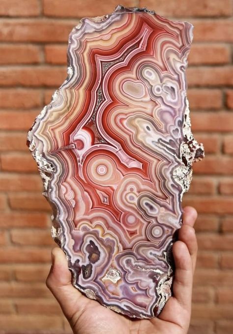 Coyamito agate, Mexico. Photo credit: Agates From Mexico. Coyamito Agate, Laguna Agate, Agate Rocks, Stone Candles, Stone World, Crystal Healing Stones, September 8, Beautiful Rocks, Agate Geode