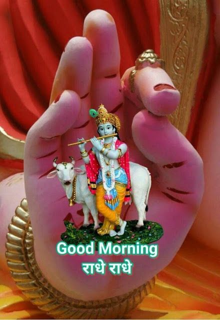 Good Morning Happy Krishna Janmashtami Wishes, Krishna Good Morning Images, Krishna Good Morning, Good Morning Gif Images, Good Morning Animals, Morning Images In Hindi, Happy Krishna Janmashtami, Good Morning Krishna, Happy Good Morning Images, Happy Krishna