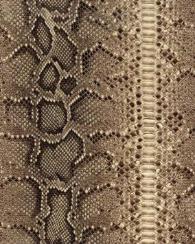 Snakeskin Wallpaper, Cool Desktop Wallpapers, Leopard Print Background, Eclectic Wallpaper, Snake Wallpaper, Faux Walls, Wallpaper Bathroom, Polka Dots Wallpaper, Python Snake