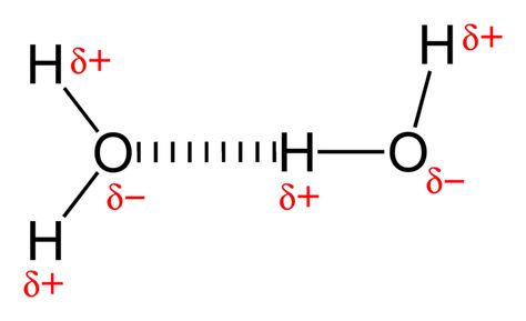 Hydrogen bonding- strongest (FON) Hydrogen Bonding, Chemical Bonding, Ionic Bonding, Noble Gas, Electron Configuration, Covalent Bonding, Chemical Bond, High School Chemistry, Potential Energy