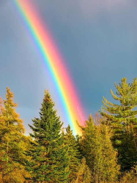 Every road trip to Michigan's Upper Peninsula always involves plenty of fun stops along the way to capture and enjoy the many splendorous scenes! And this particular trip included (many!) rainbows that graced the skies! The skies on this day were super dramatic....pouring rain one minute...sunshine the next...raining cats and dogs...sun through the clouds...repeat! And those kind of conditions are of course, the perfect recipe for rainbow sightings! As we were making our drive west I had comment Rainbow Light Reflection, Rain And Rainbow, Fall Wall Print, Sky Rainbow, Sun Spot, Rainbow Images, Michigan Photography, Rainbow Pictures, Rainbow Photography