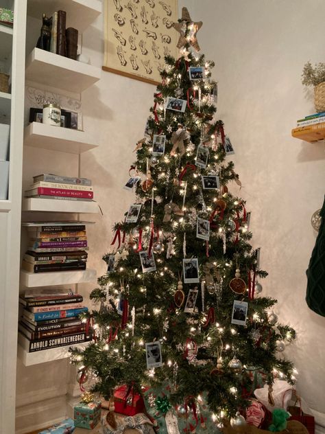 Christmas Tree With Polaroids, Pictures On Christmas Tree, Christmas Tree With Photos, Family Picture Christmas Tree, Polaroid Christmas Tree, Velvet Ribbon Christmas Tree, Christmas Bazar, Velvet Christmas Tree, Christmas Tree Festival