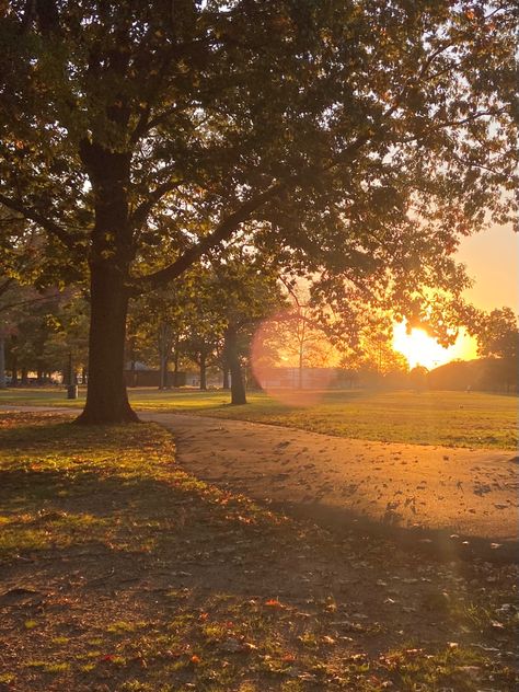 Autumn golden hour Spring And Autumn, Autumn Australia Aesthetic, September Core, Pretty Fall Pictures, Ella Season, Sunny Autumn, Aesthetic Fall Scenery, Autumn Sunset, Late Summer Early Fall Aesthetic