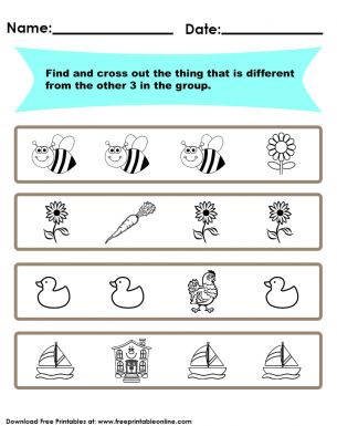 Free Find the Different Thing Worksheet Lower Nursery Worksheet, Same Different Worksheet Free Printable, Find Differences Worksheets, Nursery Evs Worksheet, Odd One Out Worksheet For Kids, Find The Odd One Out Worksheet, Animal Needs Worksheet, Shape Worksheets For Preschool, Visual Perception Activities