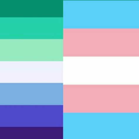 Homosexual Flag, Mlm Flag, Lgbt Flags, Trans Pride Flag, Cybercore Aesthetic, Trans Boys, Trans Flag, Gay Flag, Gay Pride Flag