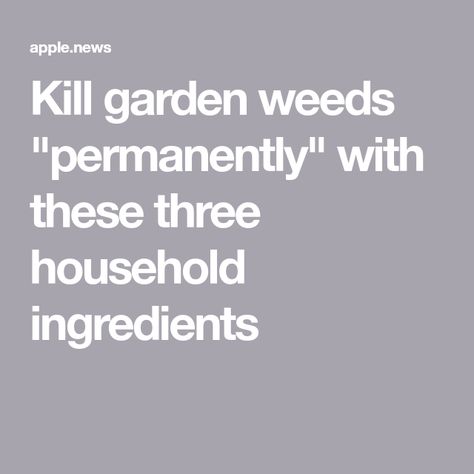 Kill garden weeds "permanently" with these three household ingredients Kill Weeds, Healthy Soil, Garden Weeds, Daily Record, Invasive Plants, Dishwasher Soap, Again And Again, Environmental Impact, Get The Job