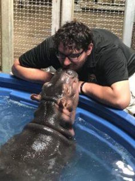 Mom and daughter - Baby Fiona the Hippo: Cincinnati Zoo pictures - CBS News Fiona The Hippo, Zoo Pictures, Cincinnati Zoo, Human Babies, Pose For The Camera, Cbs News, Eating Well, Family Time