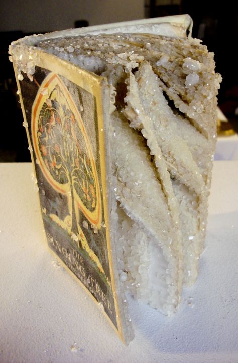 Crystalised Book, Crystallised Book, Borax Book, Borax Crystals Diy Halloween, Diy Borax Crystals, Crystal Book Diy, Borax Crystal Book, How To Crystalize A Book, Crystallized Books