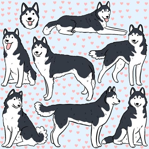 A cute siberian husky dog pattern Cute Dog Drawing Cartoon, Husky Doodle, Chibi Husky, Siberian Husky Drawing Easy, Drawings Of Huskies, Dog Drawing Husky, Husky Drawing Cartoon, Siberian Husky Drawing, Dog Cute Cartoon