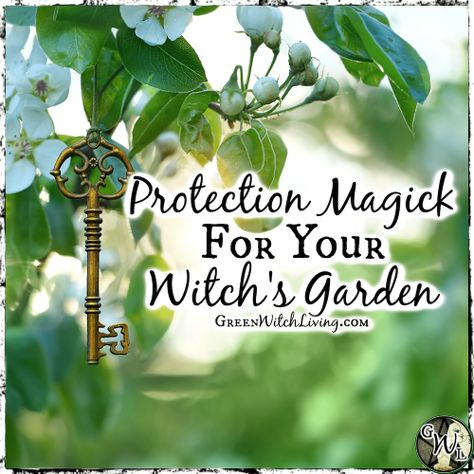 Protection Magick for Your Witch’s Garden | Green Witch Living Witchs Garden, Front Yard Landscape Design, Garden Spells, Green Witch Aesthetic, Witch's Garden, Beginners Garden, Protection Magic, Witchy Garden, Front Yard Landscape