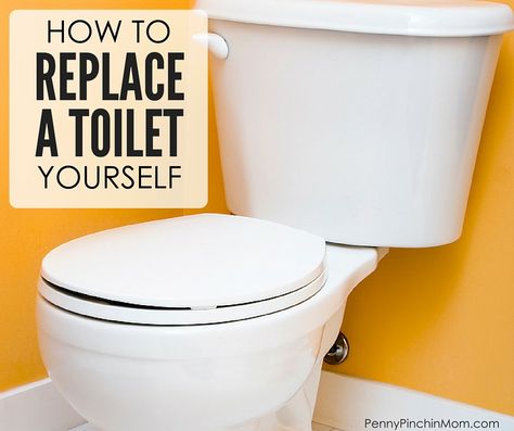 If you find that your toilet needs to be replaced, you might think you need to call a plumber - and pay a LOT of money! You can actually do this yourself! It is really a lot easier than you think - just follow these steps and you'll replace yours in no time at all to learn How to Replace a Toilet! Replacing A Toilet, How To Replace A Toilet, Replacing Toilet, Slow Flushing Toilet, Modern Gothic Bedroom, Southern Charm Decor, Replace Toilet, Bathroom Exhaust, Japanese Zen Garden