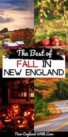 Fall Foliage Trips, Fall In New England, Fall Foliage Road Trips, Massachusetts Travel, New England Road Trip, Fall Road Trip, East Coast Travel, New England States, Fall Vacations