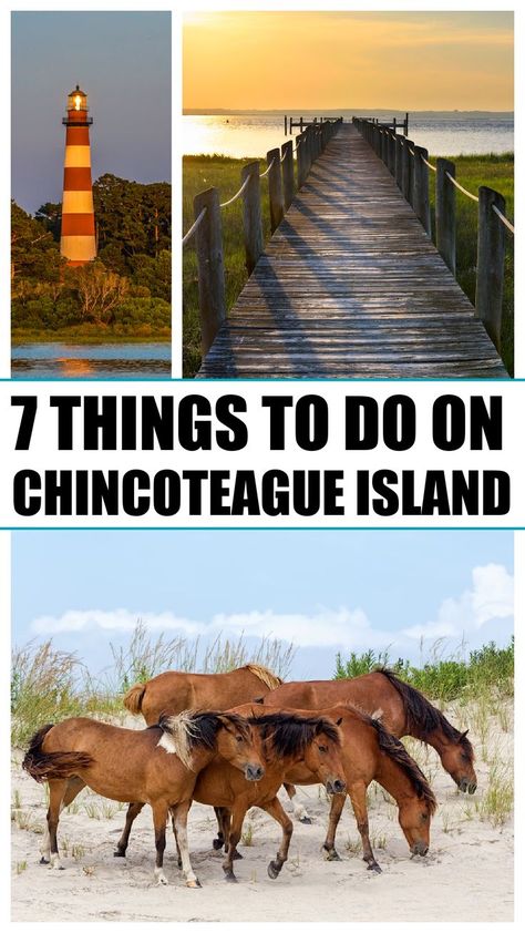 Chincoteague va Coastal Virginia, Oyster Bed, Assateague Island National Seashore, Chincoteague Ponies, Chincoteague Island, Manor Farm, Colonial History, Eastern Shore, Seaside Towns