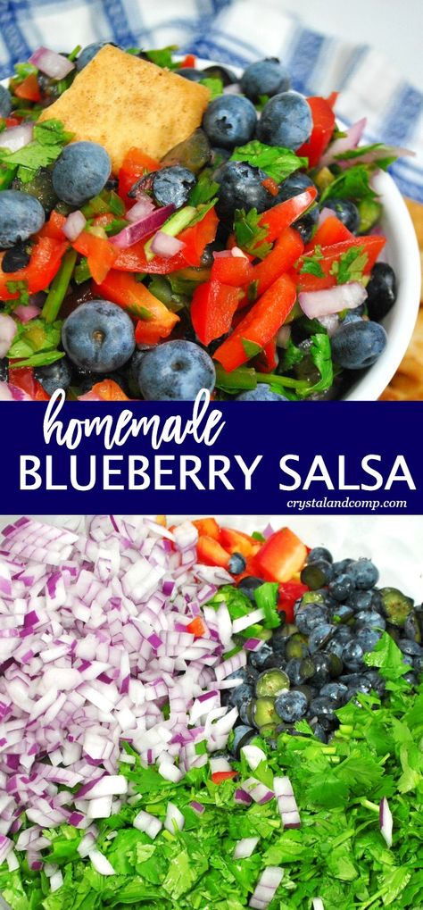 The Easiest Ever Homemade Blueberry Salsa | CrystalandComp.com Blueberry Salsa Recipe, Donut Hole Recipe Baked, Blueberry Salsa, Chinese Lemon Chicken, Honey Teriyaki Chicken, Banana Split Dessert, Cheesy Breadsticks, Homemade Salsa Recipe, Salsa Recipes